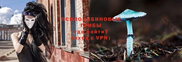a pvp Алексин