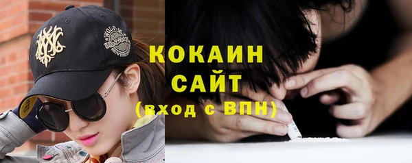 винт Абаза