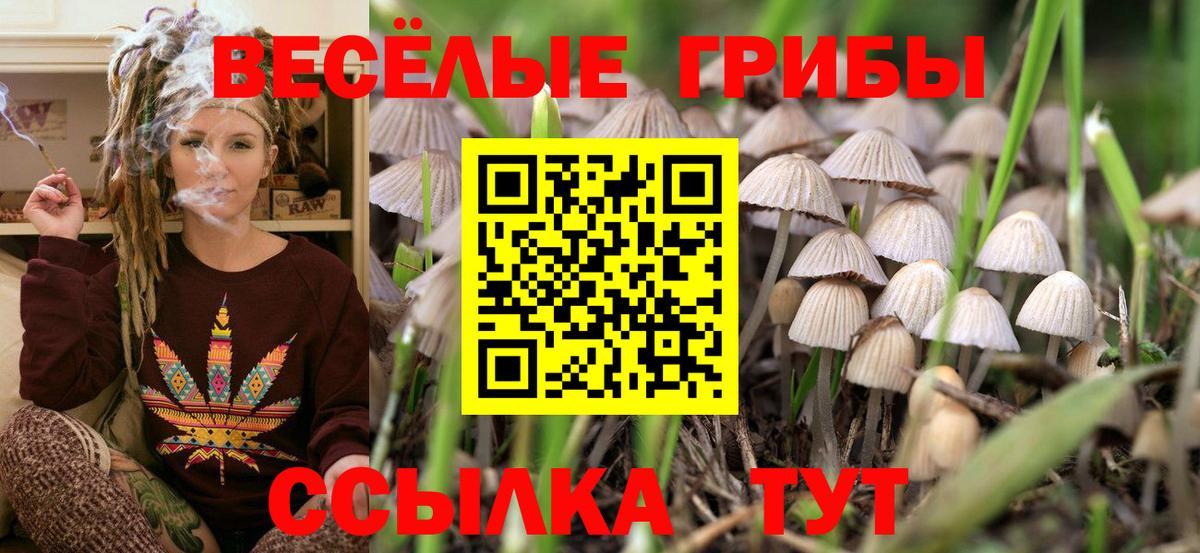 Удомля  Галлюциногенные грибы GOLDEN TEACHER  Вход с VPN 