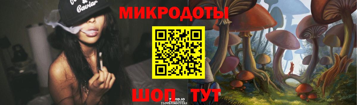 Галлюциногенные грибы Psilocybine cubensis Удомля